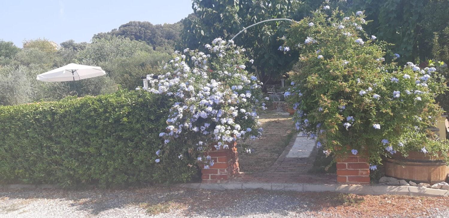 Apartments Robi- Swimming Pool And Beautiful Garden Kampor Extérieur photo